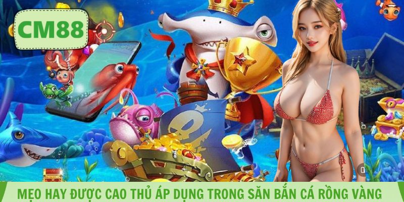 Mẹo hay được cao thủ áp dụng trong săn bắn cá rồng vàng