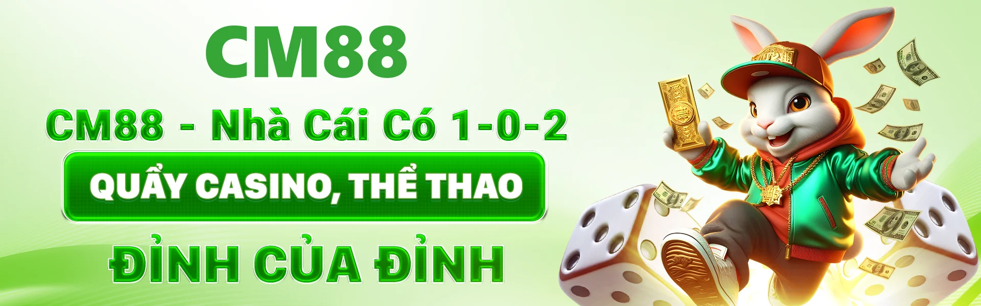 banner-cm88