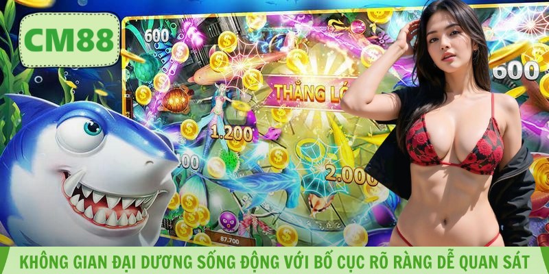 Không gian đại dương sống động với bố cục rõ ràng dễ quan sát